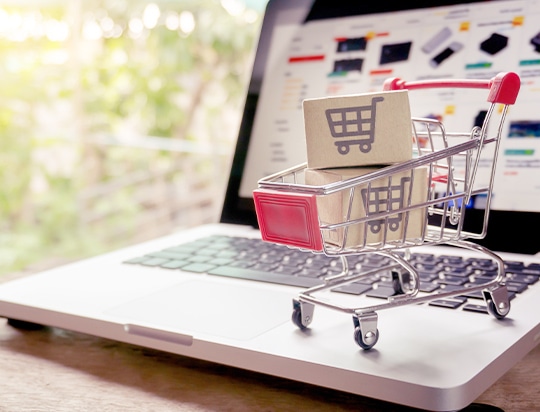 ECサイトの運営・販売 写真